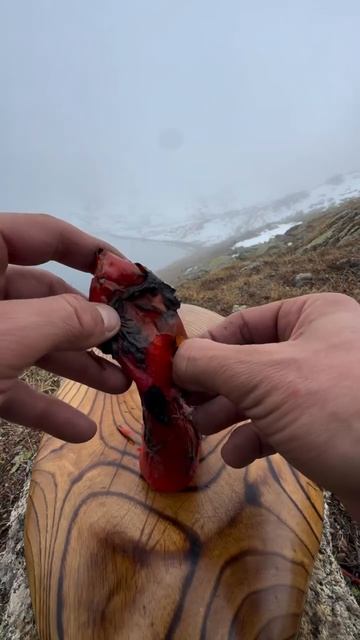 Стейк Томогавк