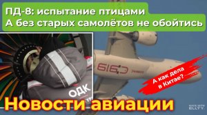 ПД-8: испытание птицами. А без старых самолётов пока не обойтись. А как дела у китайских товарищей?