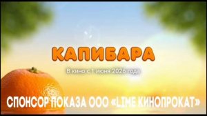 экстремальные новости 24.01.2026