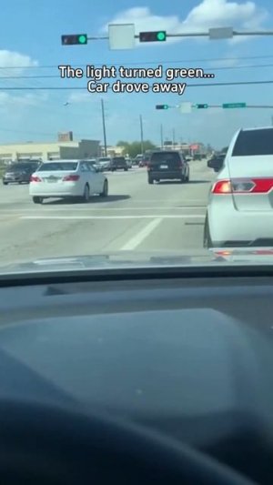 Пса выкинули прямо посреди дороги