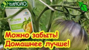 В 100 раз лучше ЭПИНА и ЯНТАРНОЙ КИСЛОТЫ! Это домашнее средство должно быть всегда под рукой.