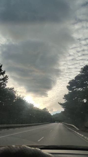 Какие профессии в Крыму пользуются спросом (часть 4) смотреть онлайн