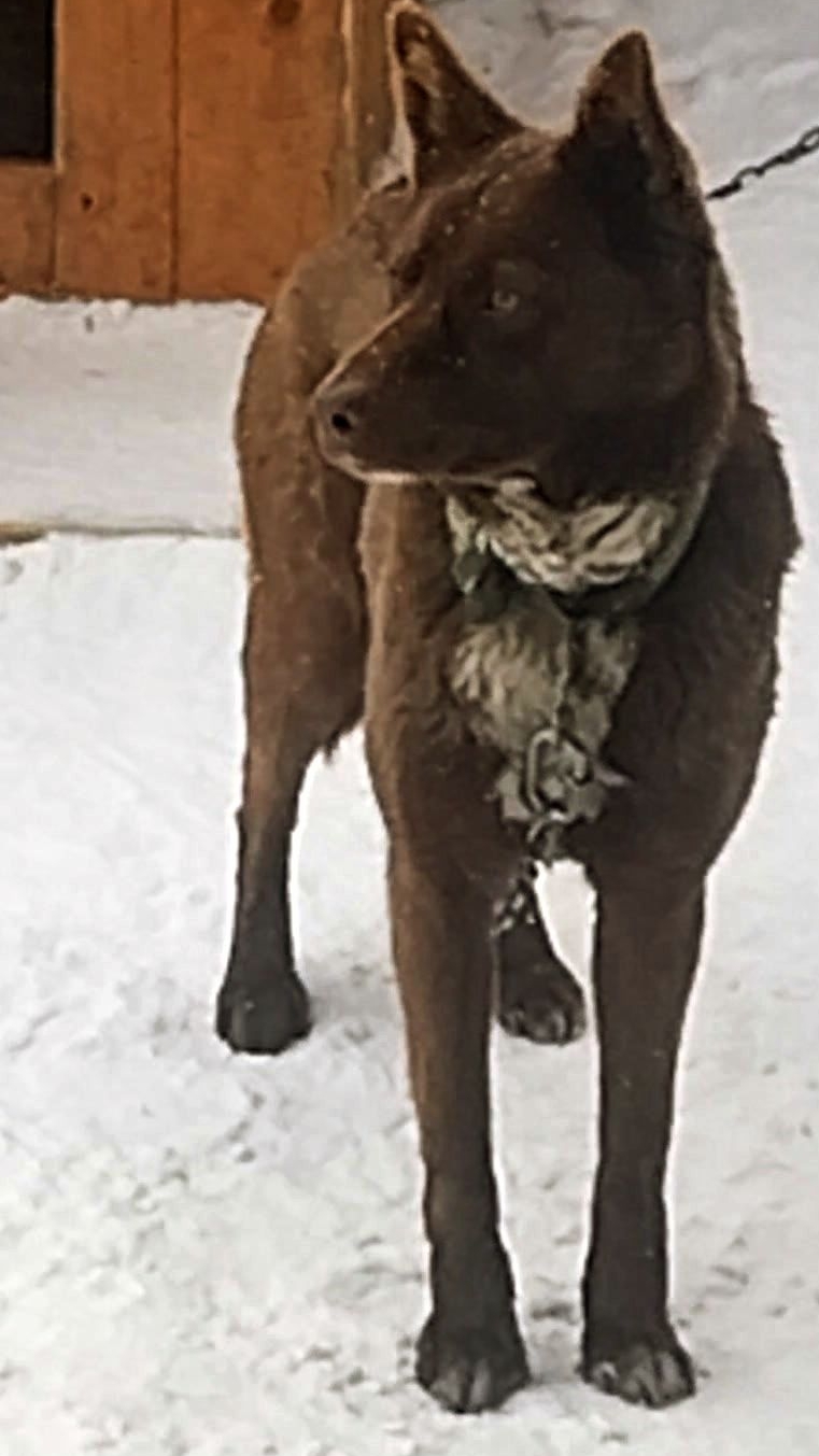 Мишка. Слова со смыслом. Юмор с животными. 25-01-2026 смотреть онлайн