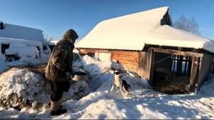 Охота продолжается.  Добыл лису . О приложении в смартфоне.