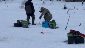 Сходы и поимки форели