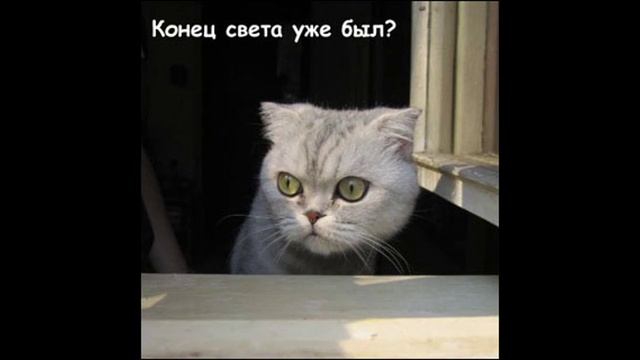 Разговоры с коллекторами 112 смотреть онлайн