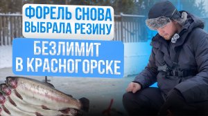 #42 ФОРЕЛЬ СНОВА ВЫБРАЛА РЕЗИНУ. ЛОВЛЮ ФОРЕЛЬ НА БЕЗЛИМИТЕ БИГ КАРП. КРАСНОГОРСК.