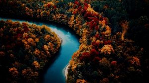 Pravohor. Россия моя.