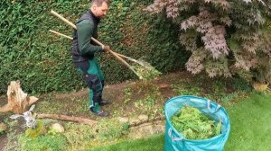 За один день я успел НЕ ТОЛЬКО подстричь две ИЗГОРОДИ, но и удалить два ДЕРЕВА