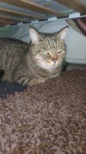 привет обращение к зрителям