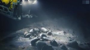 НЕЧТО что люди увидели в воде во время прилива ИСПУГАЛО даже ученых.