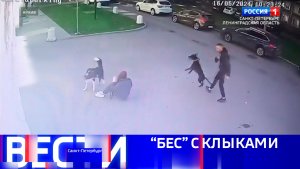 Вести Санкт-Петербург. Выпуск 20.50 от 24.01.2026