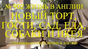 Новый торт, гости, сад, еда, собаки и Икеа. № 902 Жизнь в Англии