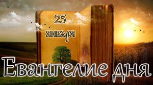 Апостол, Евангелие и Святые дня. Свт. Са́ввы I, архиепископа Сербского (1237). (25.01.26)