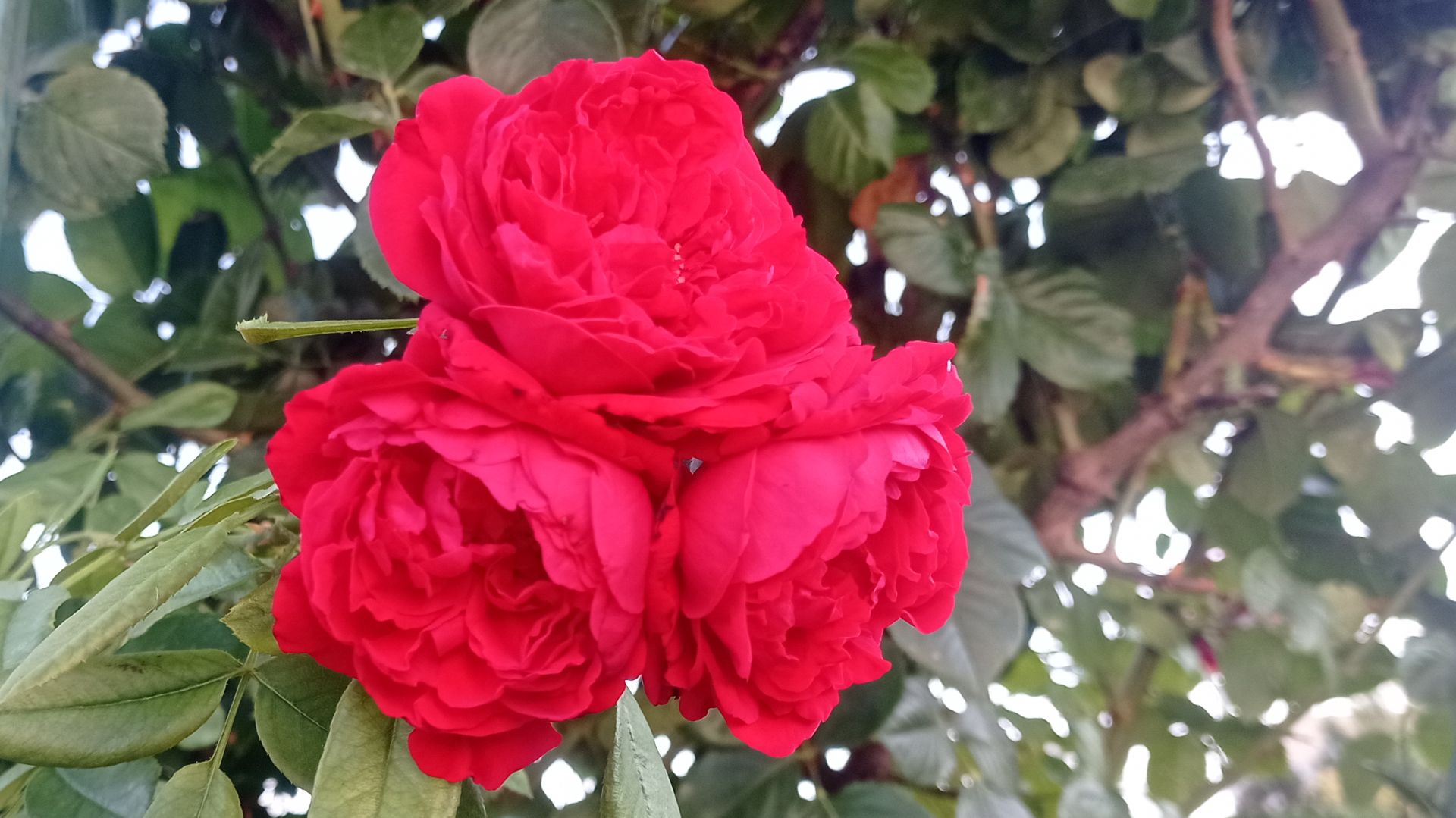 Санаторий Ейск, - Столовая. Еда.