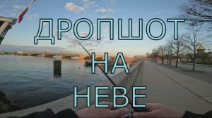 СПИННИНГ| ДРОПШОТ НА НЕВЕ🔥