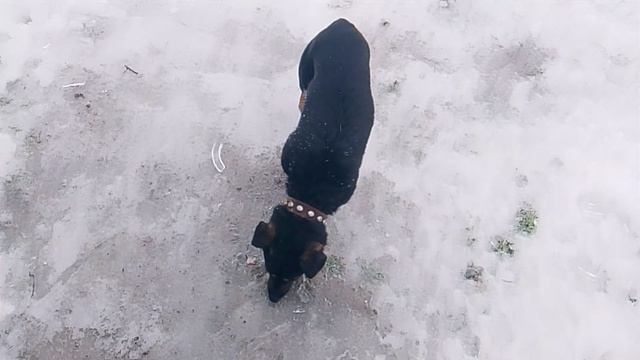 1000004800.mp4 смотреть онлайн