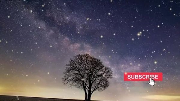 А что, если больше никого нет. Тайна нашей космической уникальности.