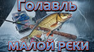 Голавль малой реки после жуткой грозы с градом. Мутная вода-нельзя поймать? Проверим!