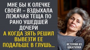 Мне бы к Олечке своей! – вздыхала лежачая теща по рано ушедшей дочери… А когда зять решил вывезти ее