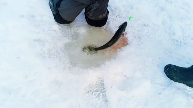 Запуск от 24.01.26 смотреть онлайн