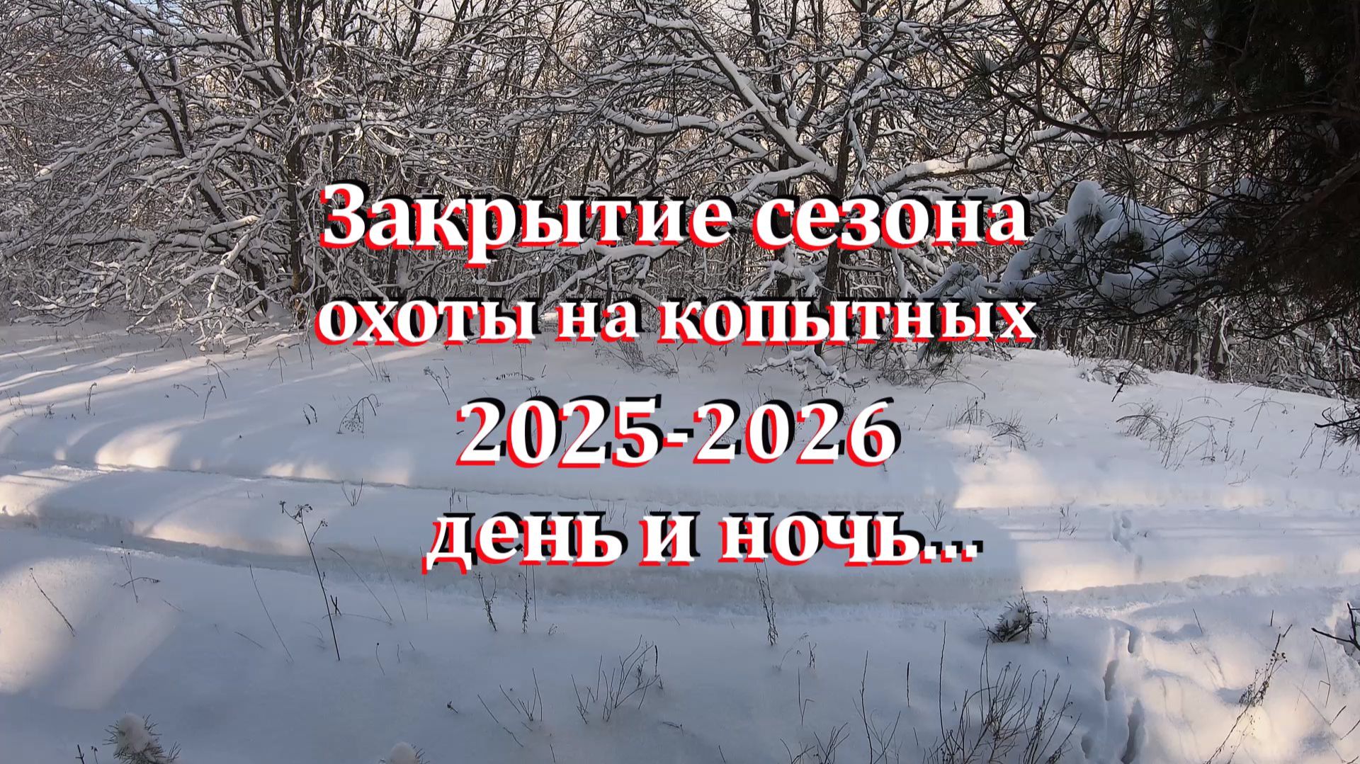 Охота с Сайга-МК 7.62х39 на копытных! / Закрытие сезона 2025-26 / Охота днём и охота ночью! смотреть онлайн