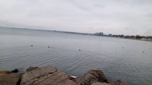 Анапа море video_2026-01-24_14-55-08