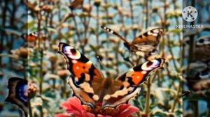 preview 2 BFDI 2763 V56