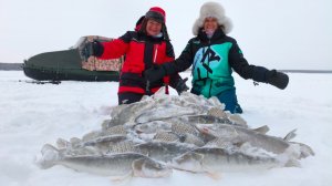 В ПЕРВЫЙ РАЗ НА ЗИМНЕЙ РЫБАЛКЕ! Идеальное место на ОВХ, чтобы полюбить её даже в сильный мороз🥶