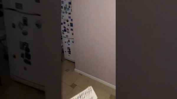 video5451698131655758795