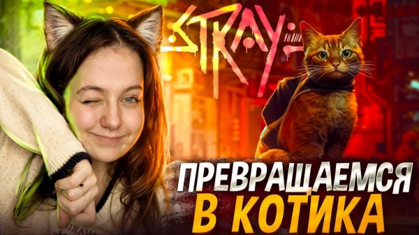 STRAY: ПРЕВРАЩАЕМСЯ В КОТИКА 😸