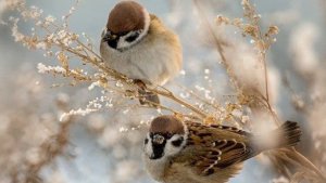 24-01-2026 Жизнь в селе 🏠. Просто день , обычный.