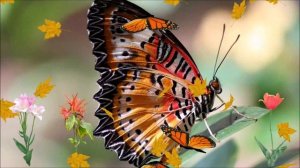 «Бабочки на фоне Моцарта». Музыка детям с ОВЗ.