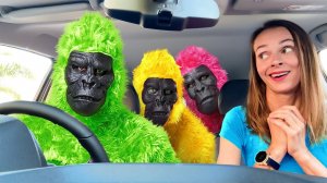 Удивительные гориллы — забавная история о поездке на машине!