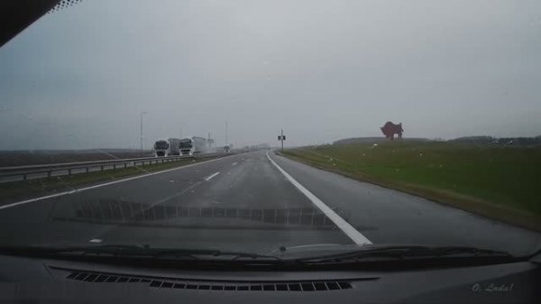 Зубр, статуя на Минке. Минск-Брест. Беларусь.