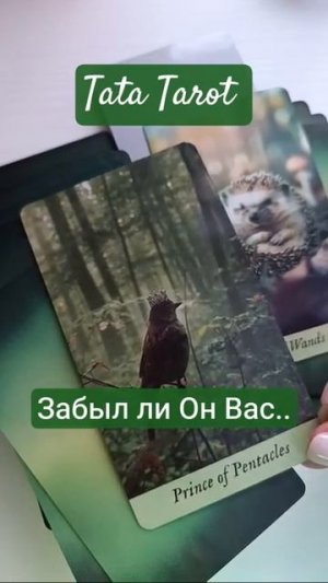 Забыл ли Он Вас 🤦 #таро #эзотерика #онлайнтаро #магиятароонлайн #тароонлайн #тароонлайн