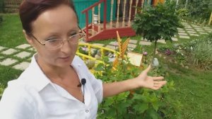 Видео привет с 6 соток 29 июня 2021 года.