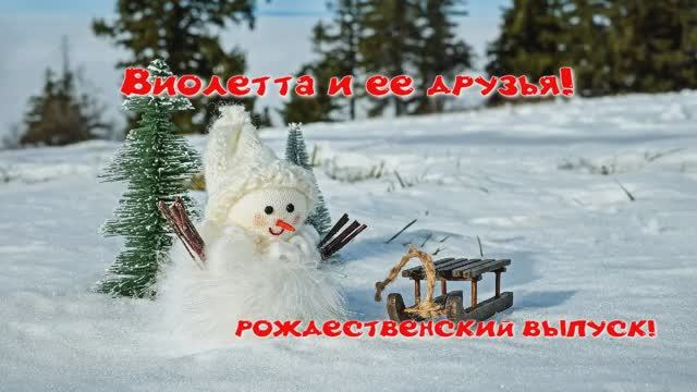 РОЖДЕСТВИНСКОЕ ПРИКЛЮЧЕНИЕ!!!!!!! ( 3 января 2025 г.)