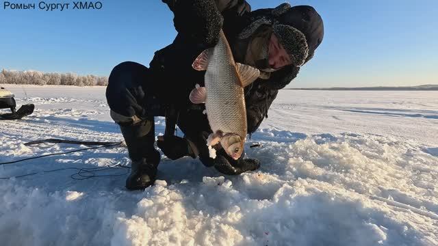 Проверка удочек. 46 день. смотреть онлайн