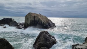 АЛУПКА ч.1, Нижний парк Воронцовского дворца, скала Айвазовского