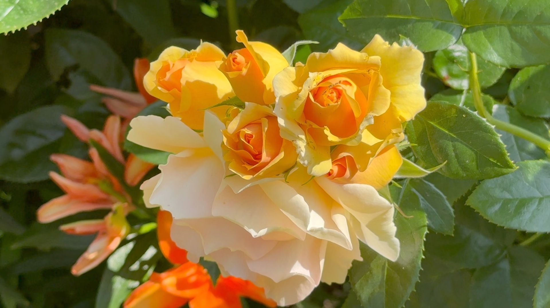 Июль в 21 июля 2025 часть 6