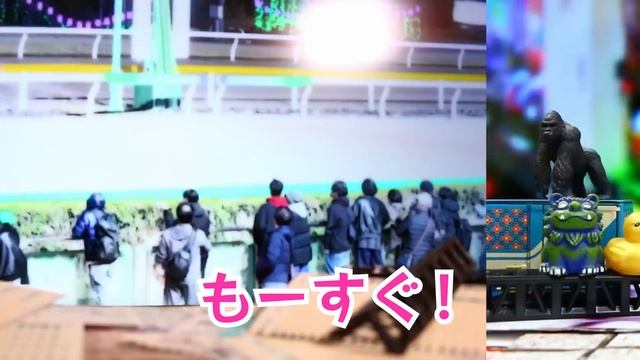 1000026755.mp4 смотреть онлайн