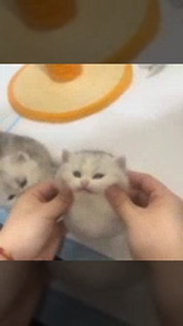 VID-20240918-WA0006.mp4 смотреть онлайн