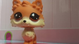 распаковка лпс набор груминг спа