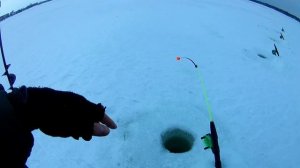 ТАМ ТРОФЕЙ. ЛОВЛЯ СУДАКА НА ТЮЛЬКУ.РЕКА ВОЛГА.