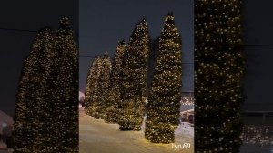 Псков - город Рождества