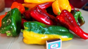 ПЕРЕЦ - УРОЖАЙНЫЕ СОРТА НА 2026 год. ЛУЧШИЕ  СОРТА ПЕРЦА СЛАДКОГО