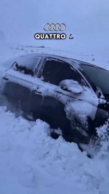 Audi A4 Quattro #ауди