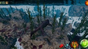 Beasts of Bermuda - 2026-01-24 03-22-41