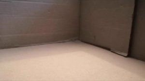 Типичные ситуации на конюшне 🐎